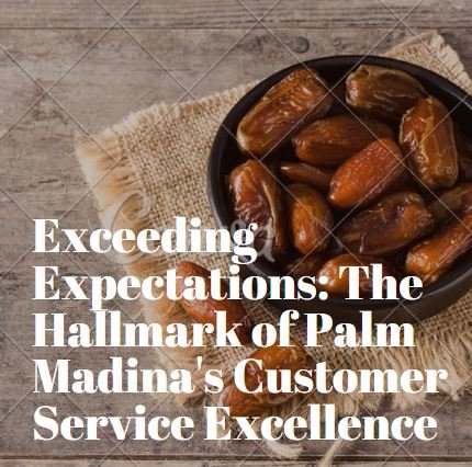 Palm Madina's Customer Service Excellence